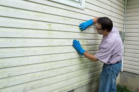 Affordable Siding Repair and Maintenance Services in Talahi Island, GA